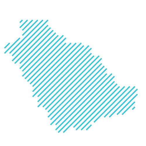 Saudi Map Icon