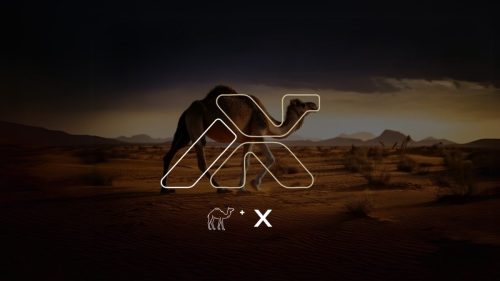 camelx website images - 9